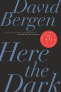 Cover: Here the Dark - Biblioasis