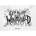 Cover: Geh nicht in den Winterwald - System Matters