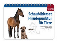 Abbildung von: Schaubilderset Hirudopunktur für Tiere - Deutsche Ausgabe -&gt; nur noch Schweizer Ausgabe lieferbar! - Phoenix und Drache
