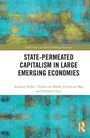 Cover: State-permeated Capitalism in Large Emerging Economies - Routledge