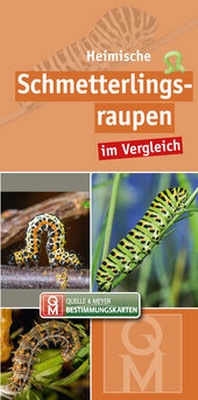 Abbildung von: Heimische Schmetterlingsraupen - Quelle & Meyer