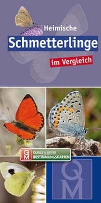Abbildung von: Heimische Schmetterlinge - Quelle & Meyer