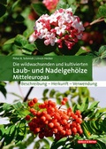 Cover: Die wildwachsenden und kultivierten Laub- und Nadelgeh&ouml;lze Mitteleuropas - Quelle & Meyer