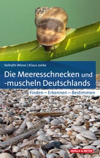 Abbildung von: Die Meeresschnecken und -muscheln Deutschlands - Quelle & Meyer