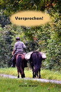 Cover: Versprochen! - Bodo Horn-Rumold