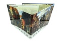 Cover: Dungeon Master's Screen - Drachenraub - Battlefront Miniatures ltd