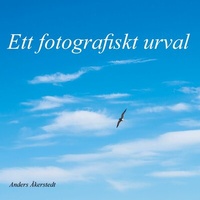 Abbildung von: Ett fotografiskt urval - Ett fotografiskt urval