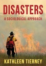Cover: Disasters - Wiley-Scrivener