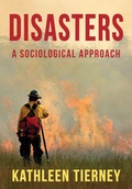 Cover: Disasters - Wiley-Scrivener