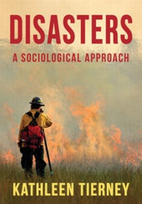 Enlarge image Cover: Disasters - Wiley-Scrivener