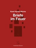 Cover: Briefe im Feuer - Ketos