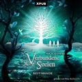 Cover: Verbundene Seelen - XPUB