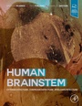 Cover: Human Brainstem - Academic Press