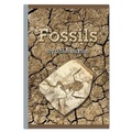 Cover: Fossils - Rainbow Reading Programme