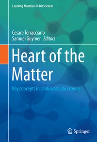 Abbildung von: Heart of the Matter - Springer