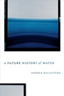 Cover: Future History of Water - Duke University Press Books