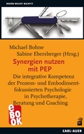 Cover: Synergien nutzen mit PEP - Carl-Auer Verlag