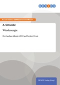 Cover: Windenergie - GBI-Genios Verlag
