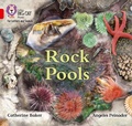 Cover: Rock Pools - Collins