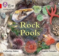 Enlarge image Cover: Rock Pools - Collins