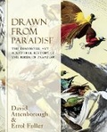 Cover: Drawn From Paradise - Collins