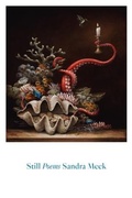 Cover: Still - Persea Books Inc