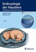 Bild: Embryologie der Haustiere - Thieme