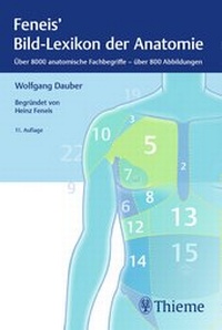 Abbildung von: Bild-Lexikon der Anatomie - Thieme