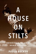 Cover: A House on Stilts - University of Iowa Press