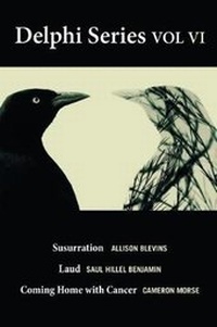 Enlarge image Cover: The Delphi Series Volume VI - Blue Lyra Press