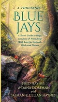 Cover: A Thousand Blue Jays - MINDSTIR MEDIA
