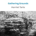Cover: Gathering Grounds - Shearsman Books