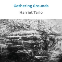 Enlarge image Cover: Gathering Grounds - Shearsman Books