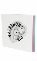 Cover: BIG ORCHESTRA - Snoeck
