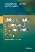 Cover: Global Climate Change and Environmental Policy - Springer