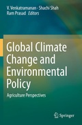 Cover: Global Climate Change and Environmental Policy - Springer
