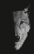 Cover: In the Company of Wolves - Manchester University Press