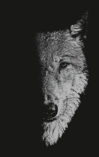 Enlarge image Cover: In the Company of Wolves - Manchester University Press