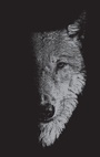 Cover: In the Company of Wolves - Manchester University Press