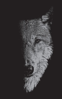 Enlarge image Cover: In the Company of Wolves - Manchester University Press