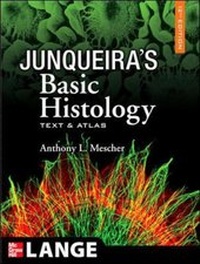 Enlarge image Cover: Junqueira's Basic Histology: Text and Atlas - McGraw-Hill Medical