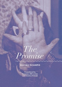 Abbildung von: The Promise - City Lights Publishers