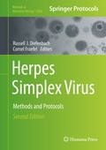 Bild: Herpes Simplex Virus - Humana