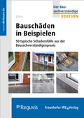 Cover: Bausch&auml;den in Beispielen - Fraunhofer IRB Verlag