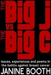 Enlarge image Cover: The Big J vs The Big C - Flapjack Press
