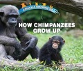 Cover: How Chimpanzees Grow Up - Enslow Publishing