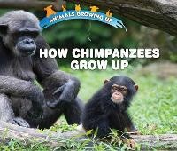 Enlarge image Cover: How Chimpanzees Grow Up - Enslow Publishing