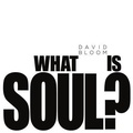 Cover: What Is Soul? - Fire & Form Publishing /Bloom School of Jazz