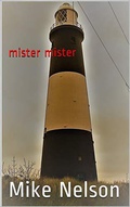 Cover: Mister Mister - mike nelson