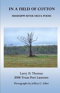 Enlarge image Cover: In a Field of Cotton - Blue Horse Press